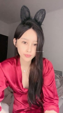 预览图14