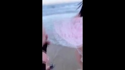 预览图16