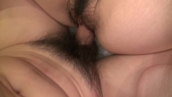 预览图14