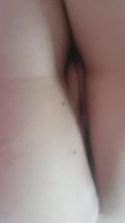 预览图9