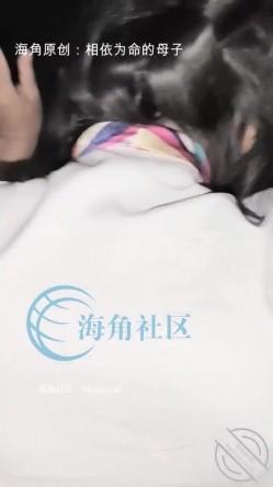 预览图14