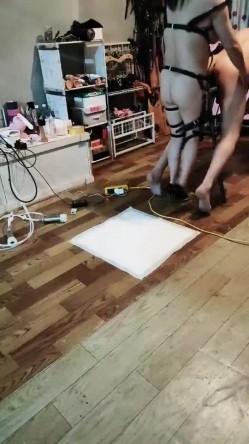 预览图2