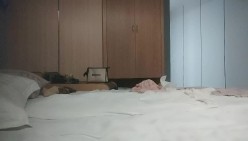 预览图16