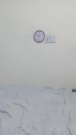 预览图13