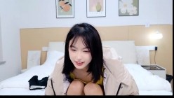 预览图14