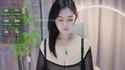 预览图9
