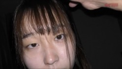 预览图8