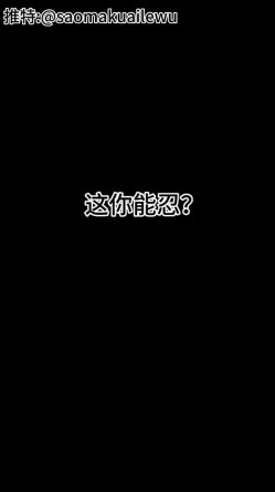 预览图12