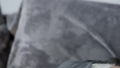 预览图14