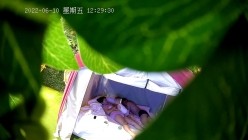 预览图8