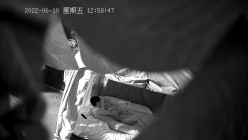 预览图11