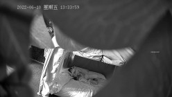 预览图16