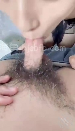 预览图7