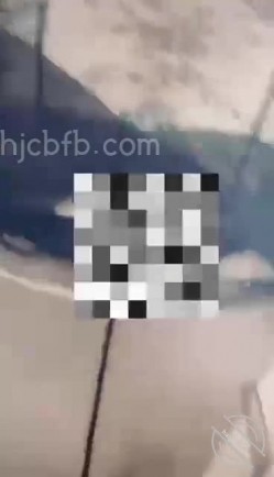预览图8
