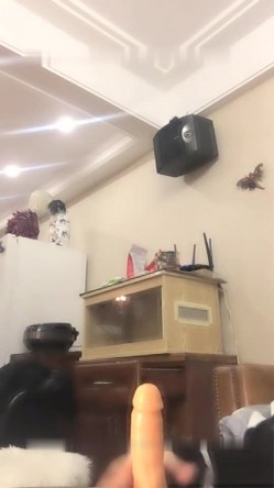 预览图7