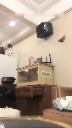 预览图13