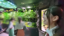 预览图4