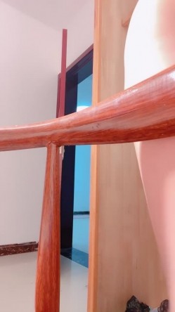 预览图8