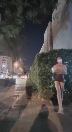 预览图8