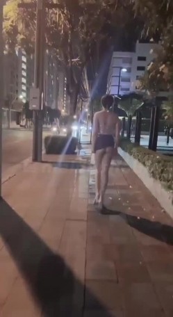 预览图12