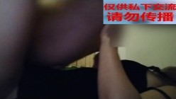 预览图4