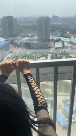 预览图3