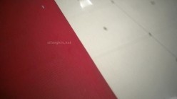 预览图16