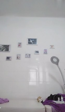 预览图14