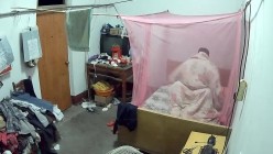 预览图2