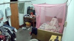 预览图4