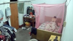 预览图5