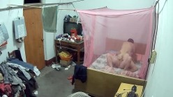 预览图6