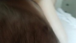 预览图4