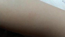 预览图8