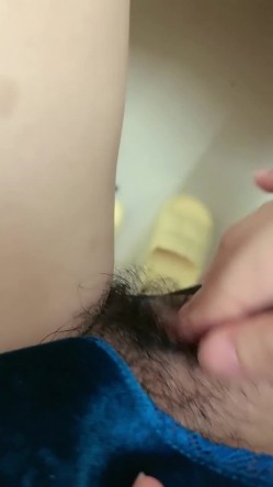 预览图4