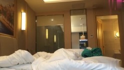 预览图4