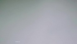 预览图7
