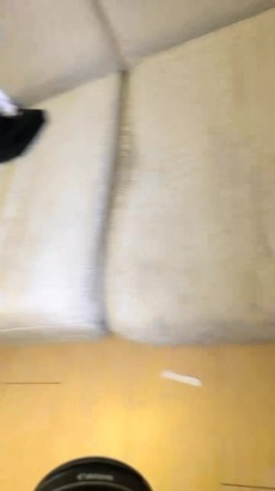 预览图13