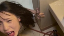 预览图8