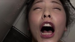 预览图13