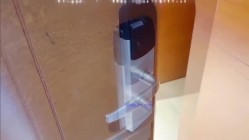 预览图1