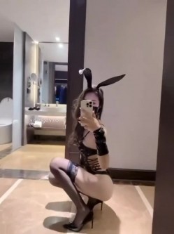 预览图7