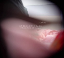 预览图4