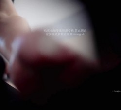 预览图7