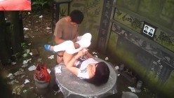 预览图4