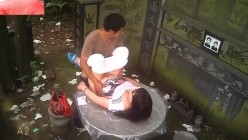 预览图5