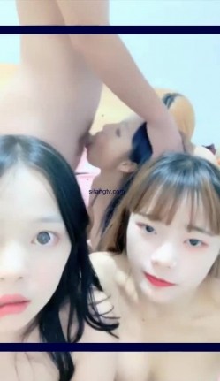 预览图11