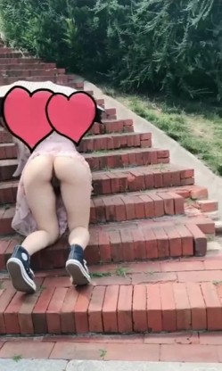 预览图4