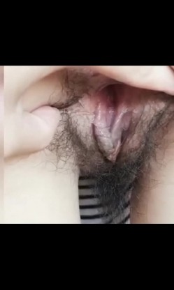 预览图13