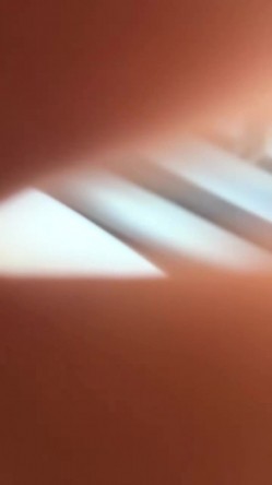 预览图6